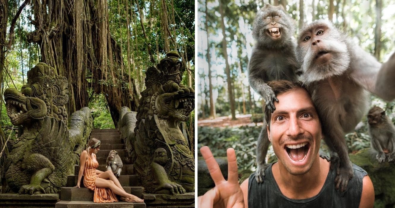 Bali Tour - Indonesia (4 Days 3 Nights) - Image 6