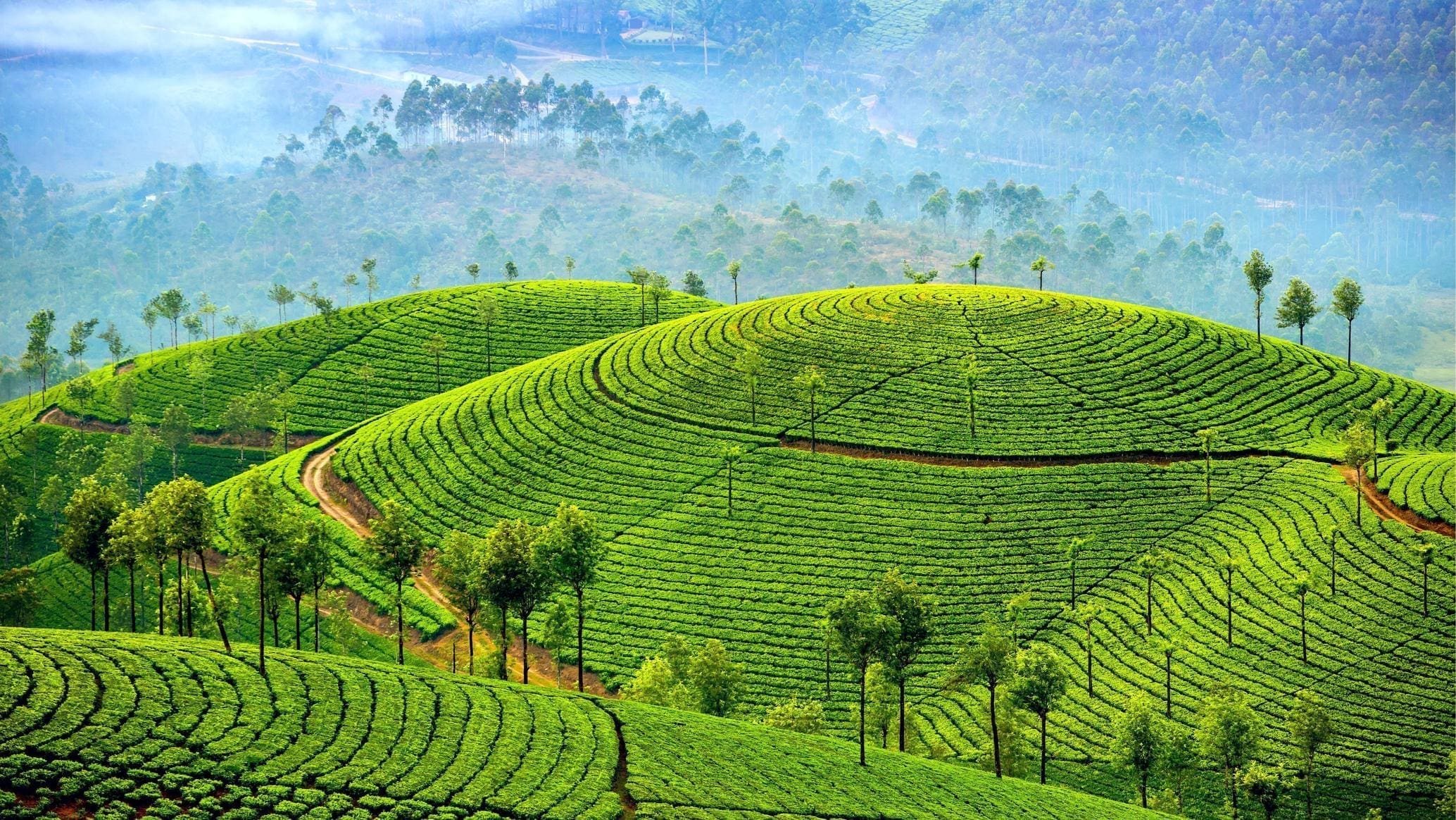 Enchanting Kerala - India Tour-7D 6N - Image 3