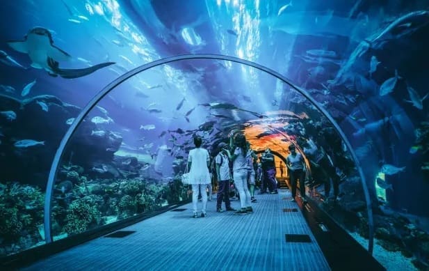 Dubai Tour 5 Days 4 Night - Image 6