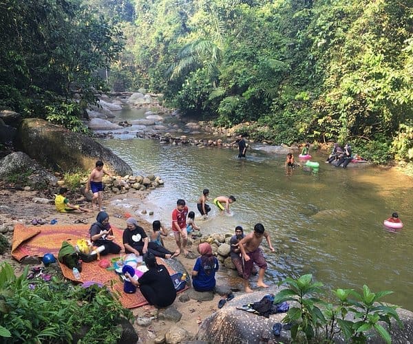 Taiping & Cameron highland amazing tour of 3 days 2 Nights 3D2N - Image 5