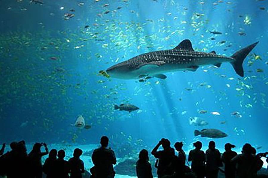 Langkawi Tour (3 Days 2 Nights) - Image 7